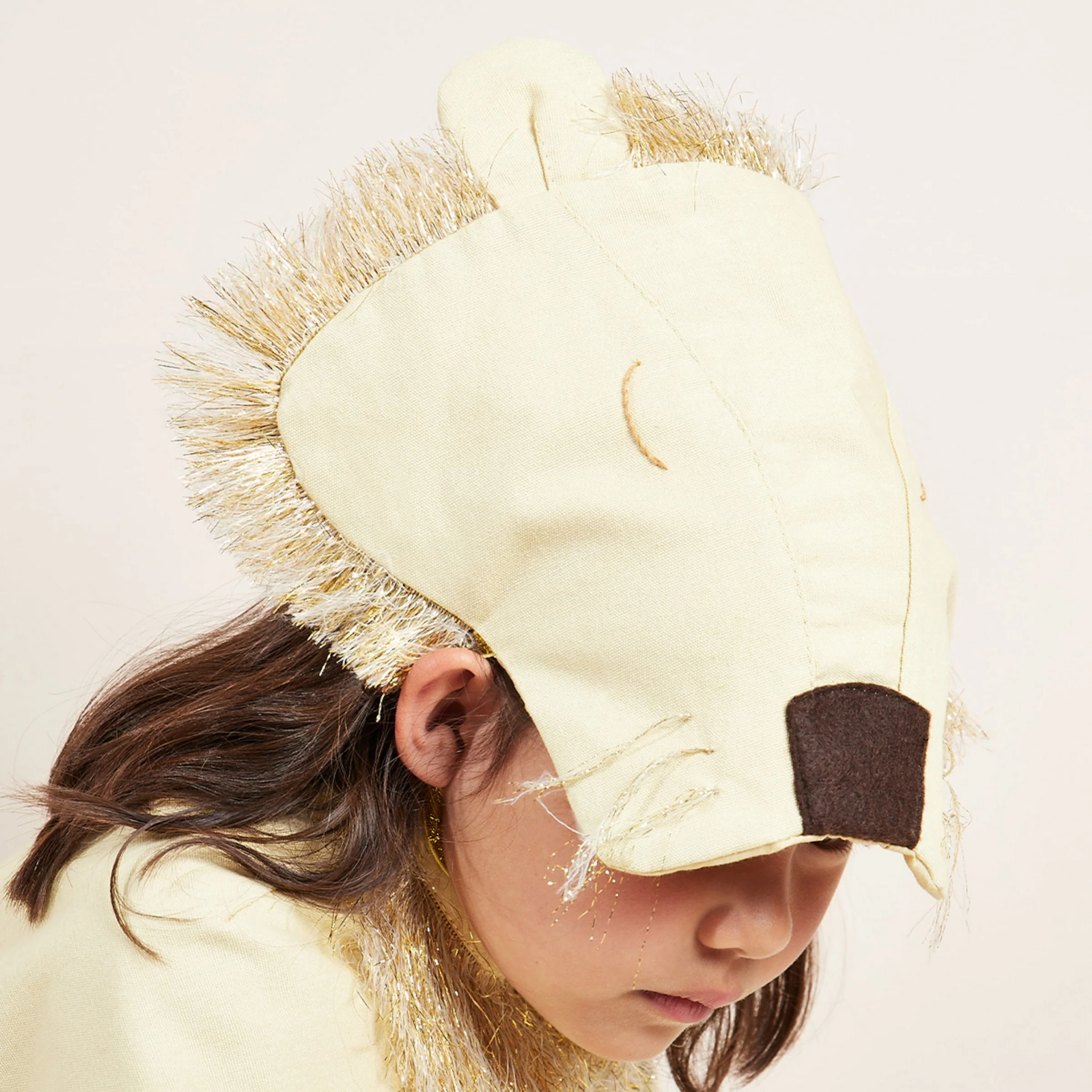 Lion Costume - Image 4