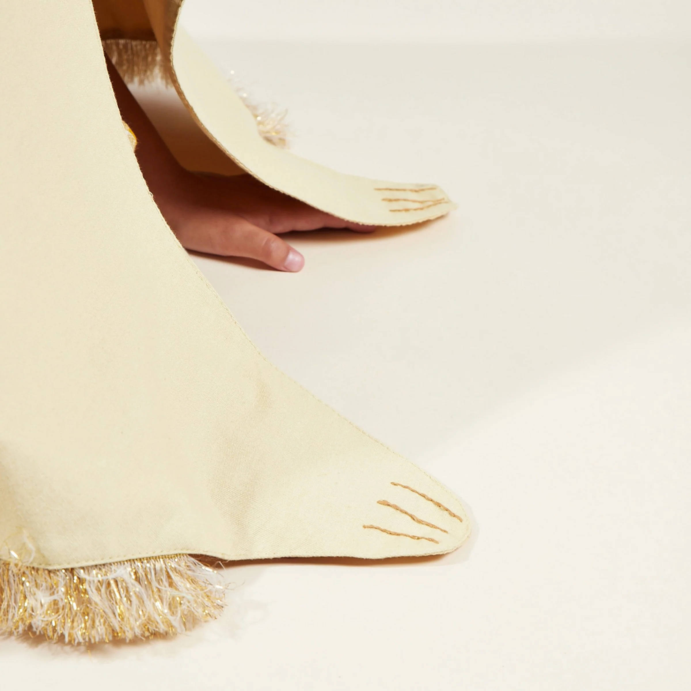 Lion Costume - Image 6