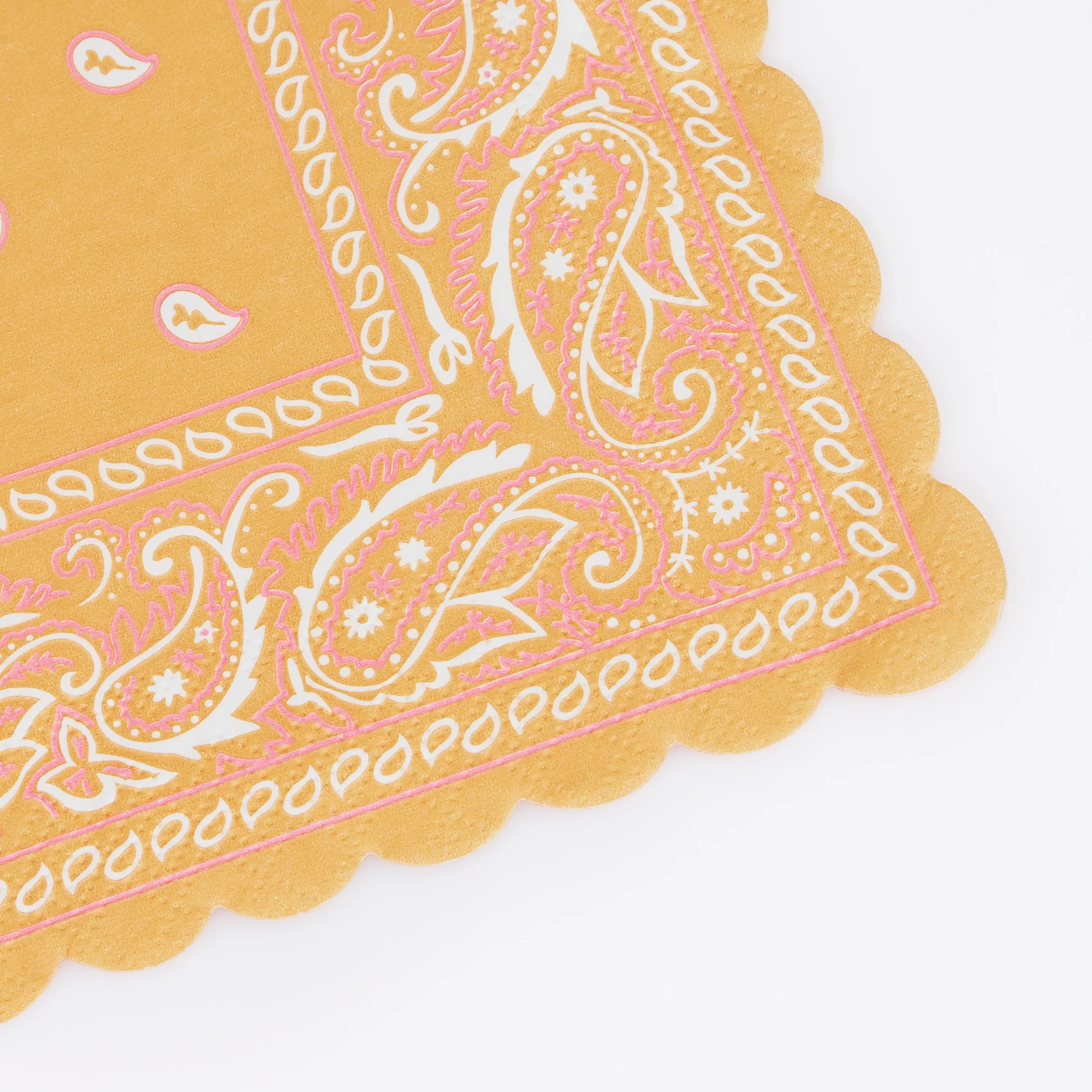 Western Party Set - Image 7